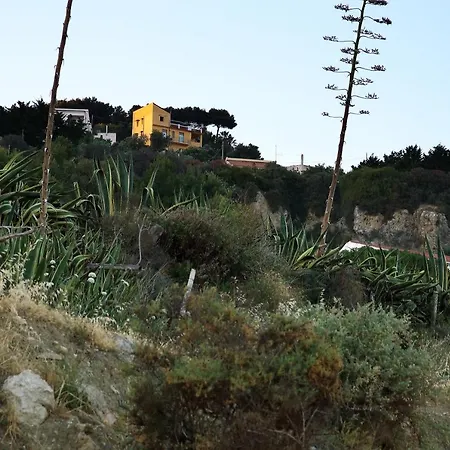 Yellow House